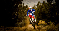 _SFG1798