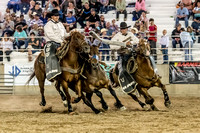 Ute Stampede 2017